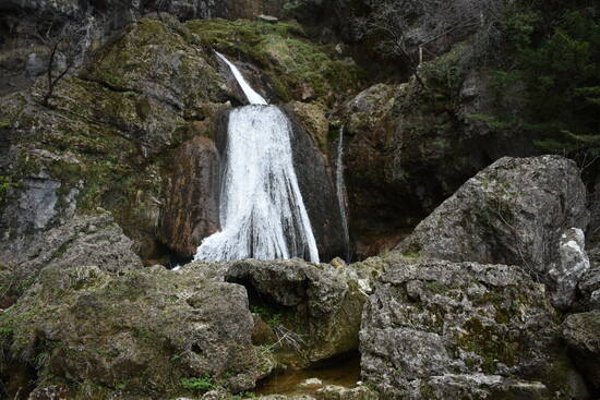 Cerca de Riópar, en Albacete, se encuentra esta curiosidad geográfica que es todo un show natural. Y es que aquí, el río Mundo, en lugar de nacer en manantial tranquilo, lo hace surgiendo de dentro de la tierra con furia y estruendo. Es lo que se conoce como reventón, un fenómeno que tiene lugar por la acumulación de agua en el interior kárstico de la sierra del Segura.