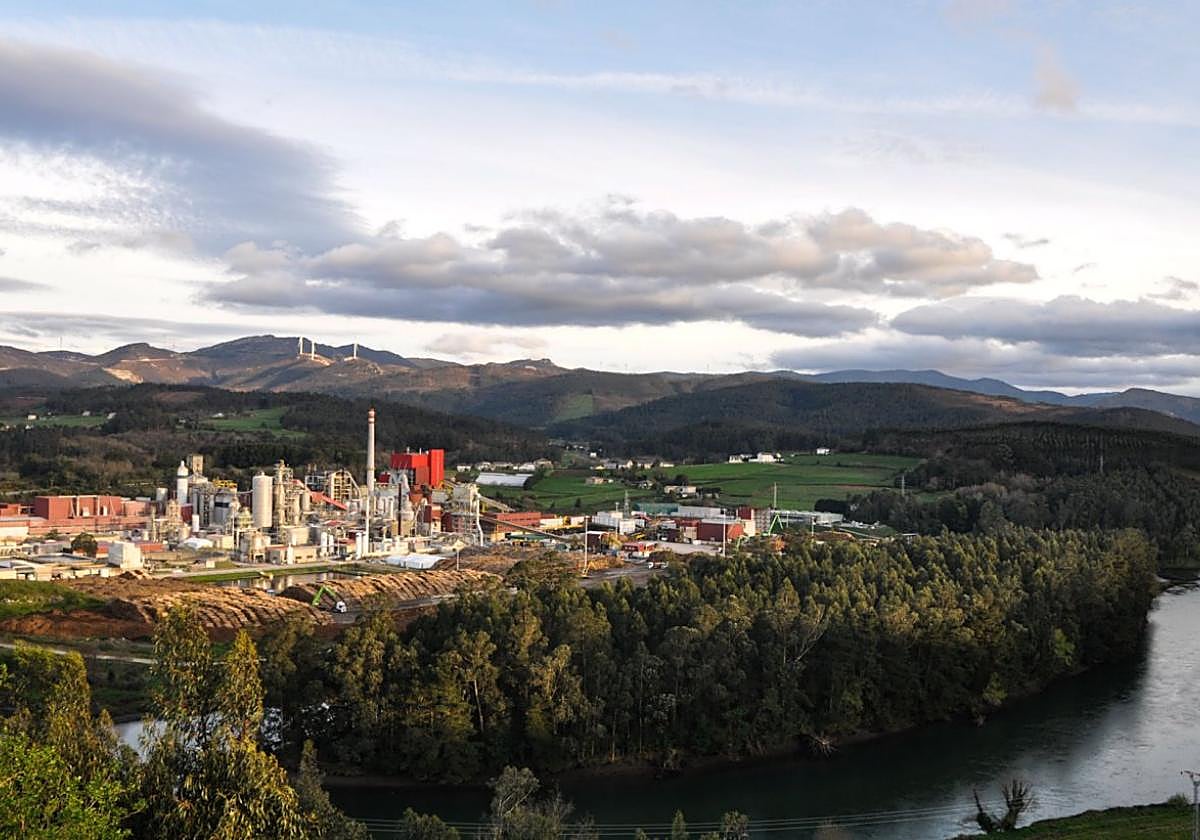 Biofábrica de Ence en Navia.