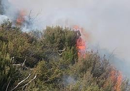 Las llamas queman un monte de Lena, que suma cinco incendios forestales.