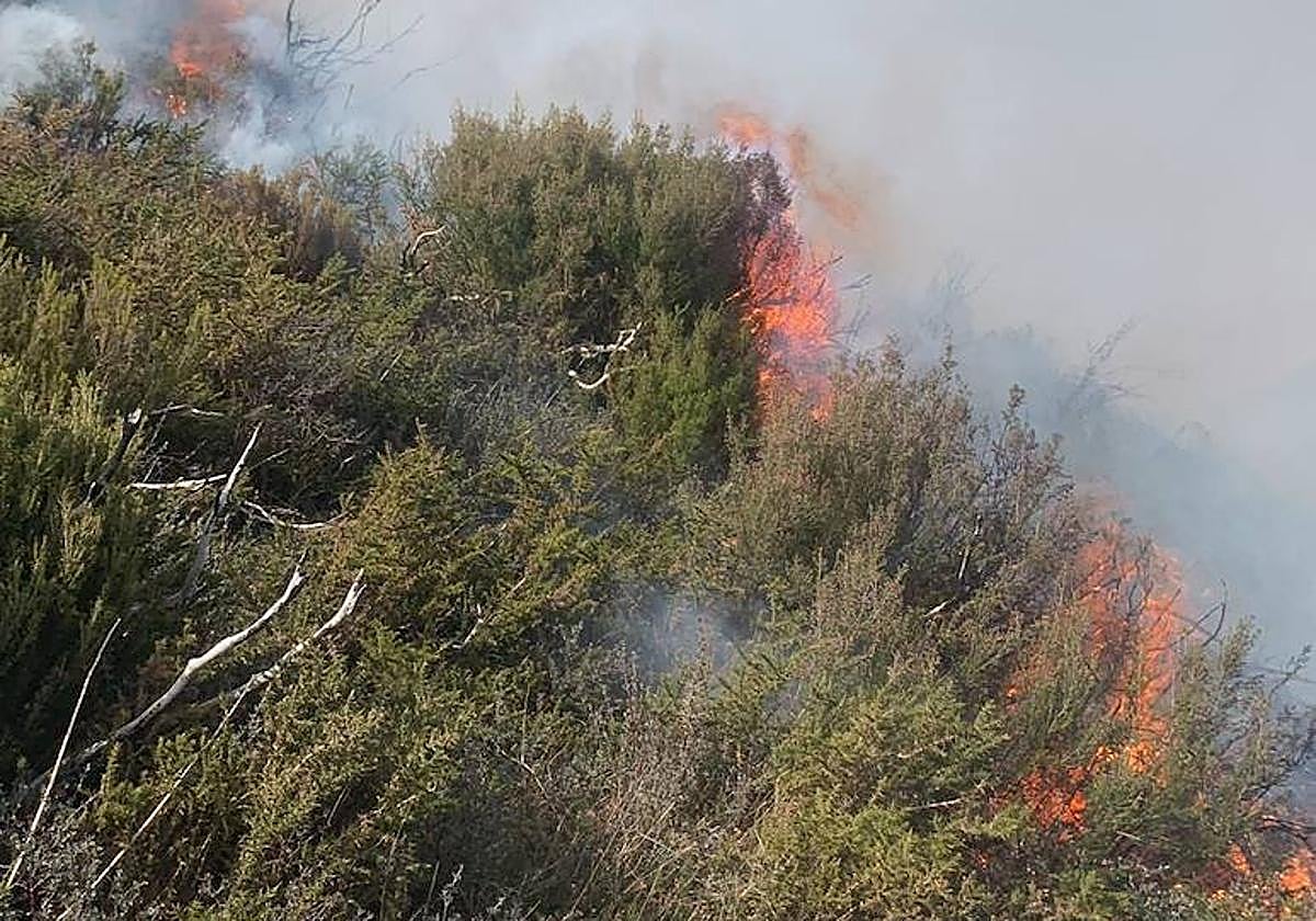 Las llamas queman un monte de Lena, que suma cinco incendios forestales.
