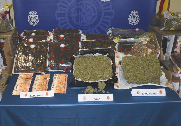 Imagen principal - Tres hombres semiesclavizados en las naves de marihuana de Tremañes