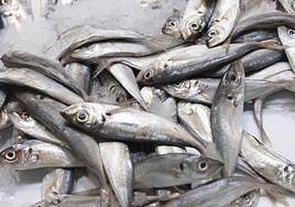 Descubre el significado del color de las cajas de la pescadería.