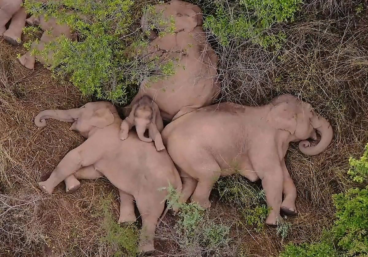 Veinte imágenes que evidencian el cambio climático