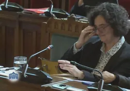 Berta Piñán, emocionada en su última comparecencia en la Comisión de Cultura.