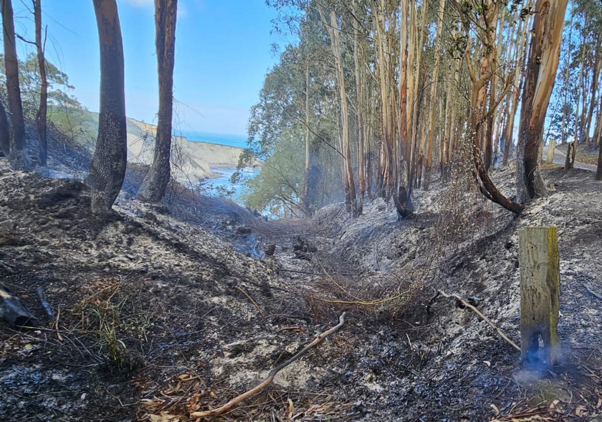 Asturias, en riesgo extremo por incendios forestales