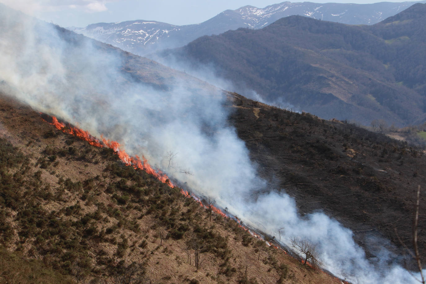 Asturias, en alerta por incendios forestales