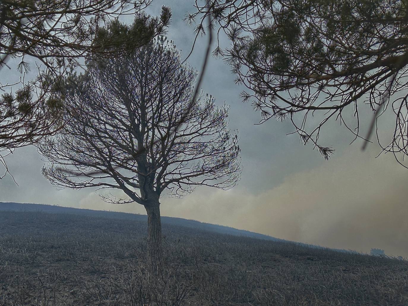 La dura lucha contra el fuego en Asturias