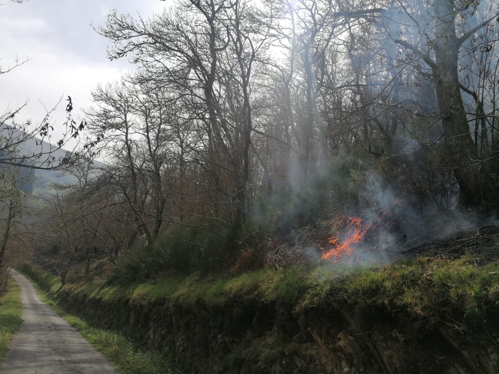 La dura lucha contra el fuego en Asturias