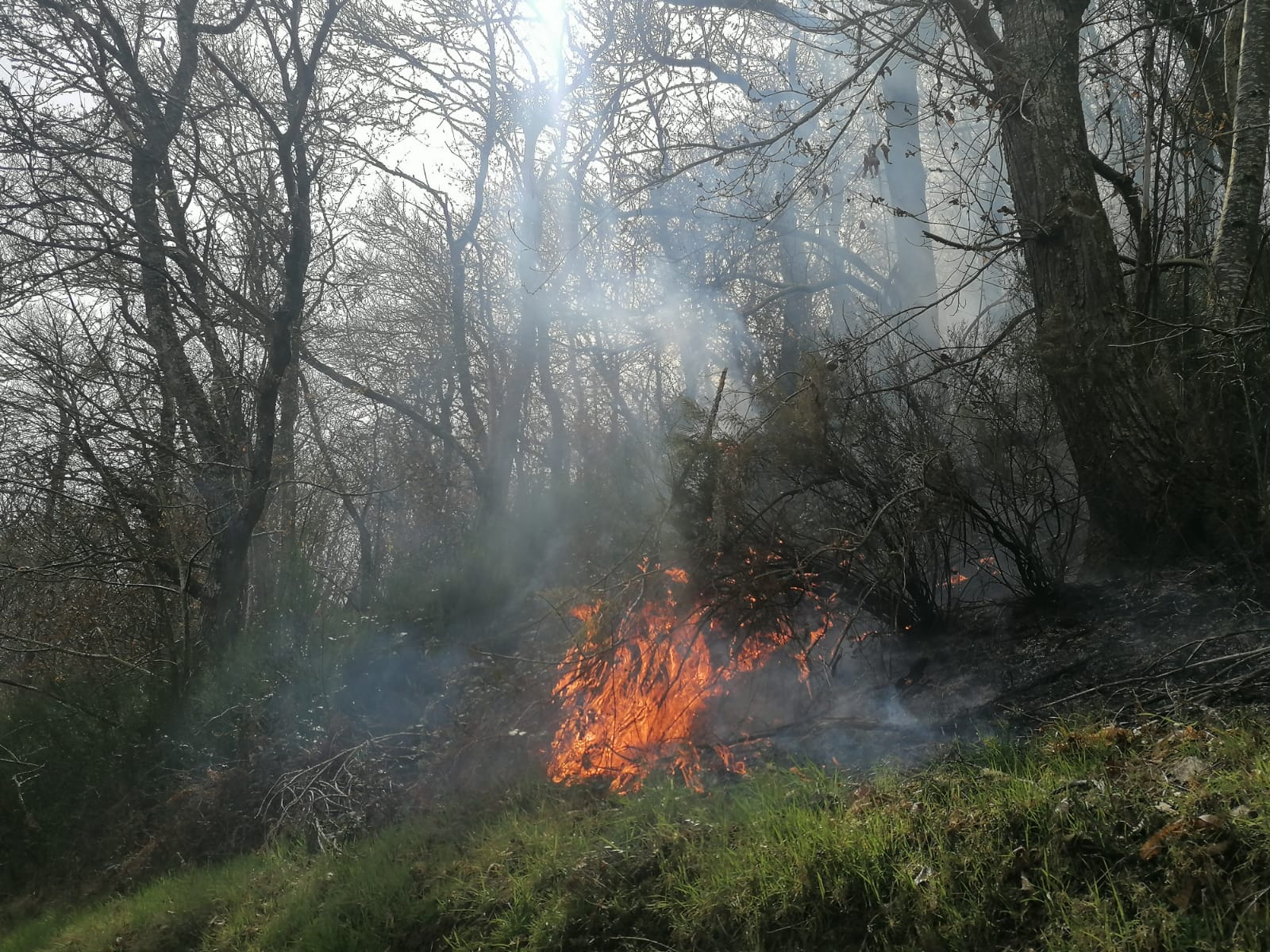 La dura lucha contra el fuego en Asturias