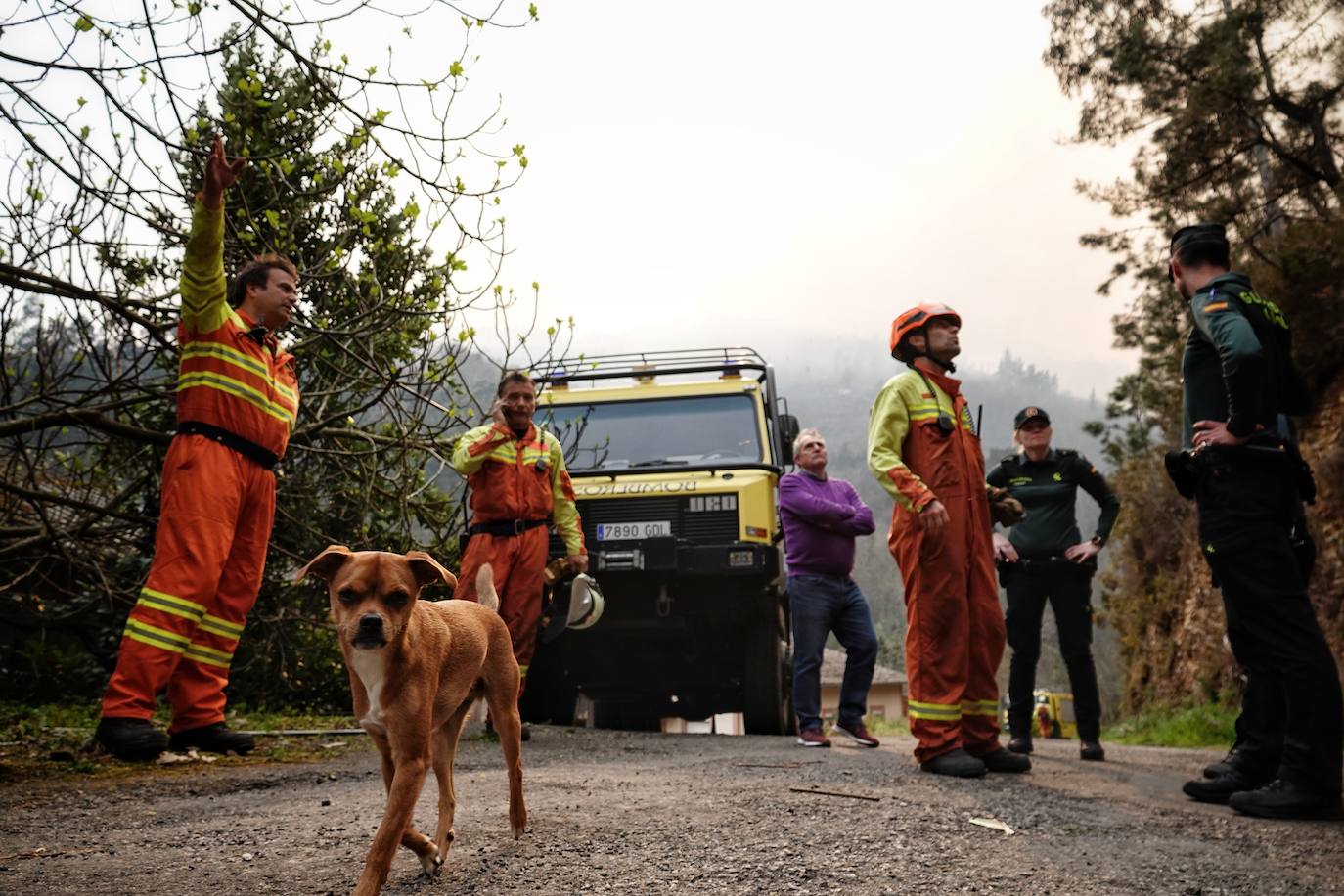 Las llamas se propagan sin descanso en Asturias