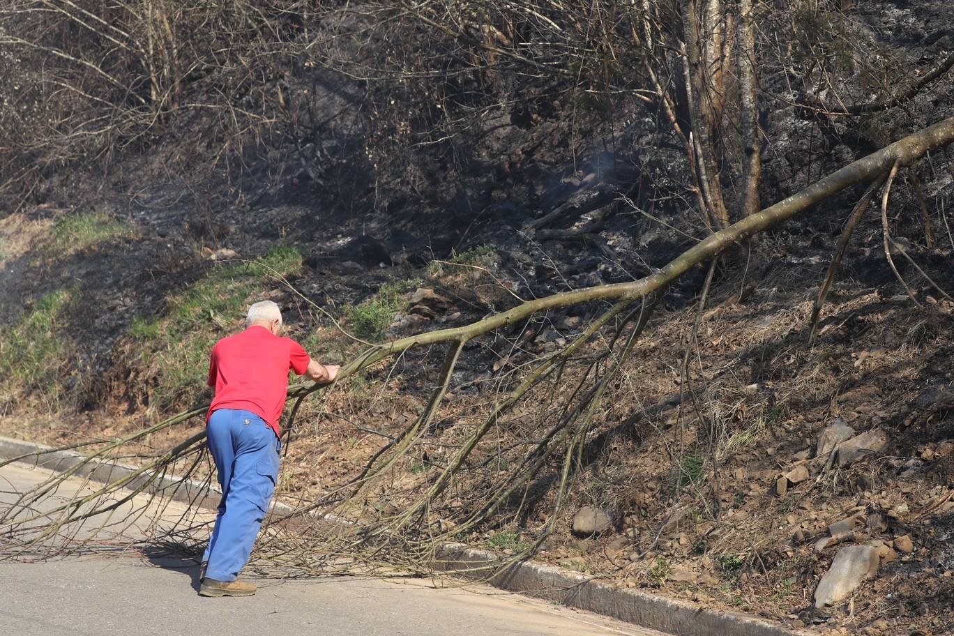 Las llamas se propagan sin descanso en Asturias