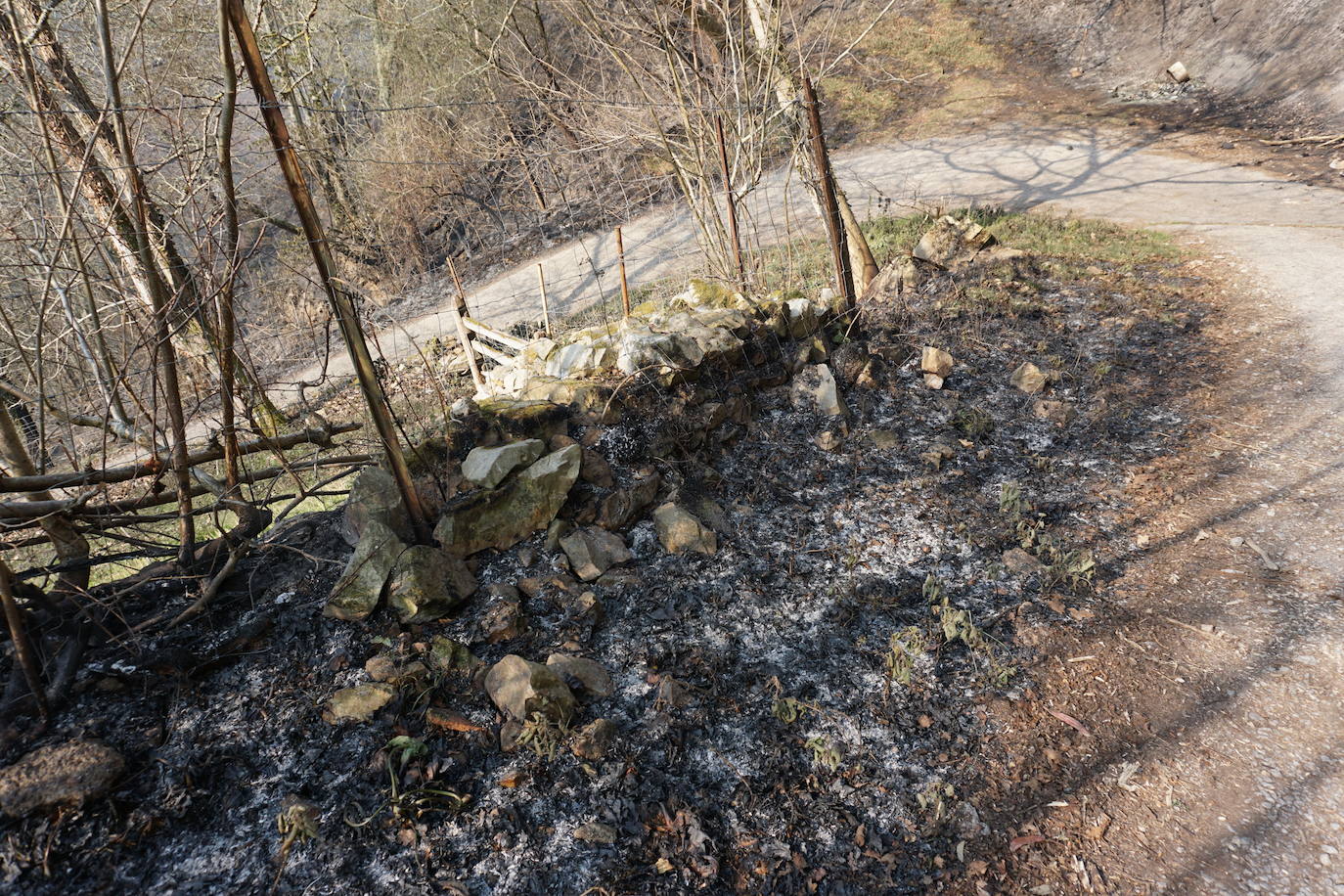 Las llamas se propagan sin descanso en Asturias