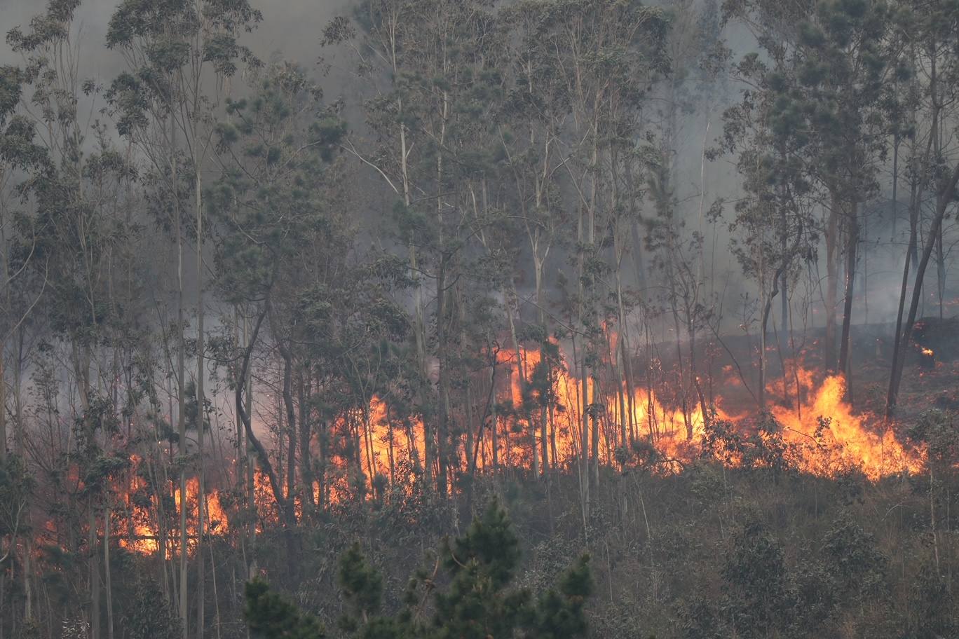 El fuego obliga a desalojar a los vecinos del pueblo. 