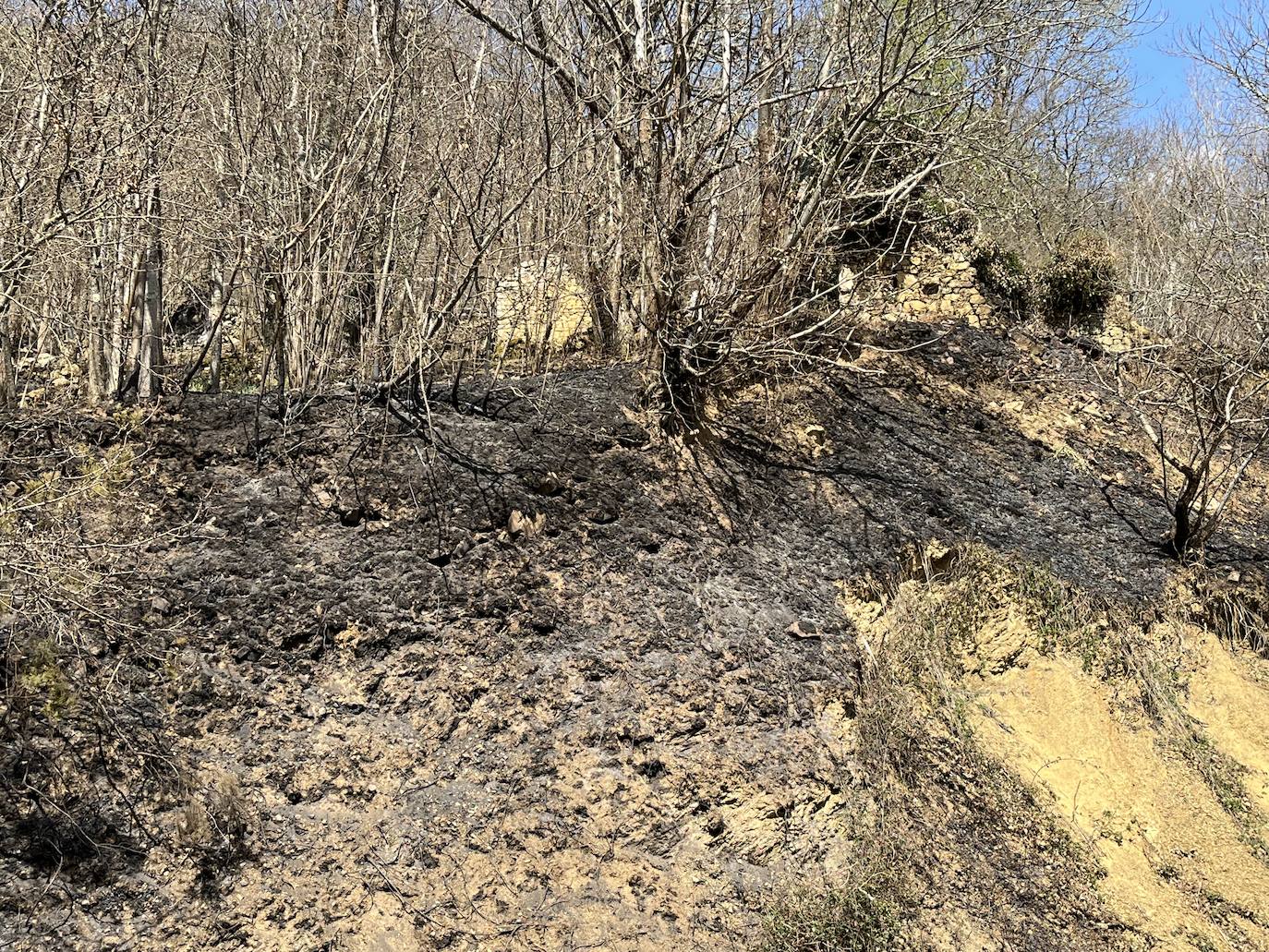 El fuego devasta Asturias