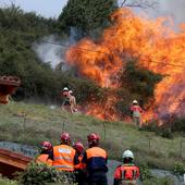 «Te asomabas a la ventana y había fuego por todos los lados»