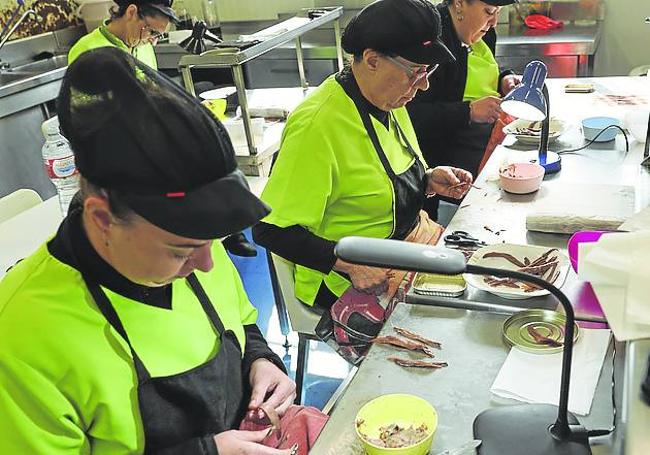 Labores de desespinado en Hazas.