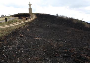 Las veinte horas de fuego en el Naranco arrasaron el 25% del monte