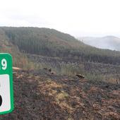 «Cuando estabilizamos el fuego de Valdés, dieron aviso de incendios desde la carretera»