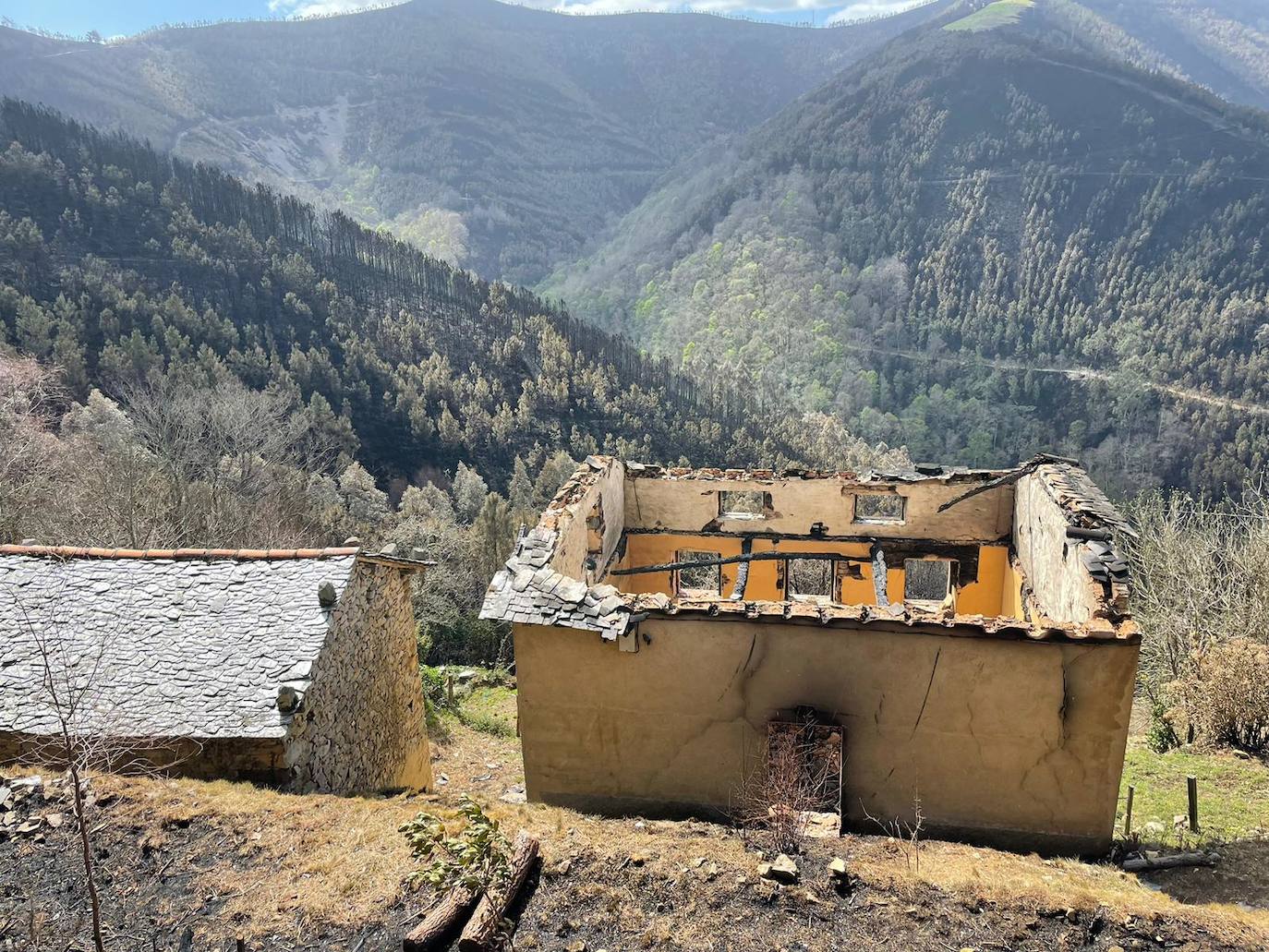 Las ruinas tras los incendios en Asturias