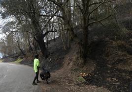 Un ciclista observa la tierra quemada en el Naranco.