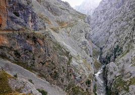 El camino de la ruta del Cares discurre por la conocida como «Garganta divina»