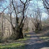 Senda del Oso: la mejor ruta para desconectar esta Semana Santa en Asturias