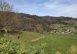 Valle de Paredes, en Valdés, con el monte calcinado cerca de las viviendas al fondo.