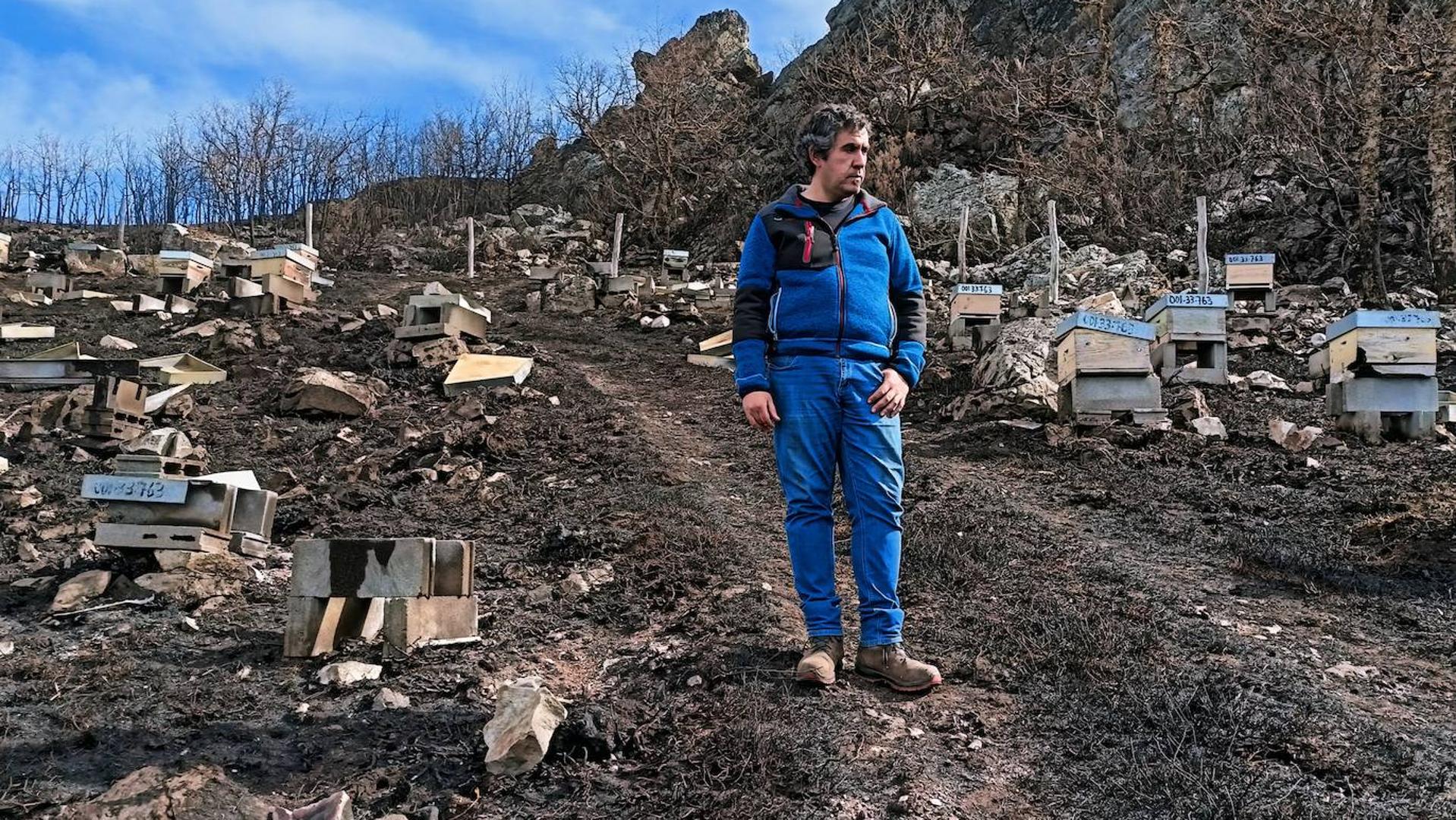 «Perdí en una noche el trabajo de veinte años»