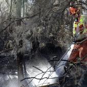 El Principado cifra en 800 millones de euros la limpieza de toda la superficie forestal de la región