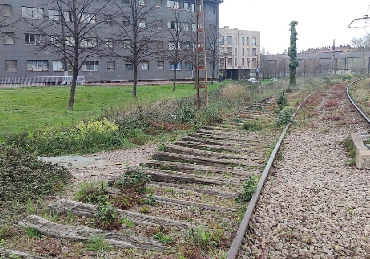 Estado de las vías a su paso por El Cerrilleru y que el PSOE promete adecentar.