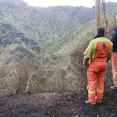 Asturias lleva desde 2009 dejando sin aplicar parte de sus planes contra incendios