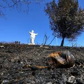 El fuego descubre un 'cementerio' en el Naranco