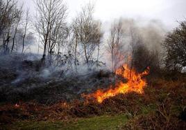 Un incendio en Ribera de Arriba.