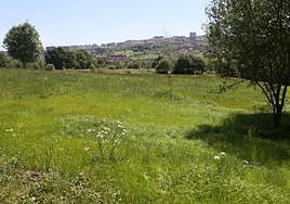Una de las parcelas de la calle Muros del Nalón.