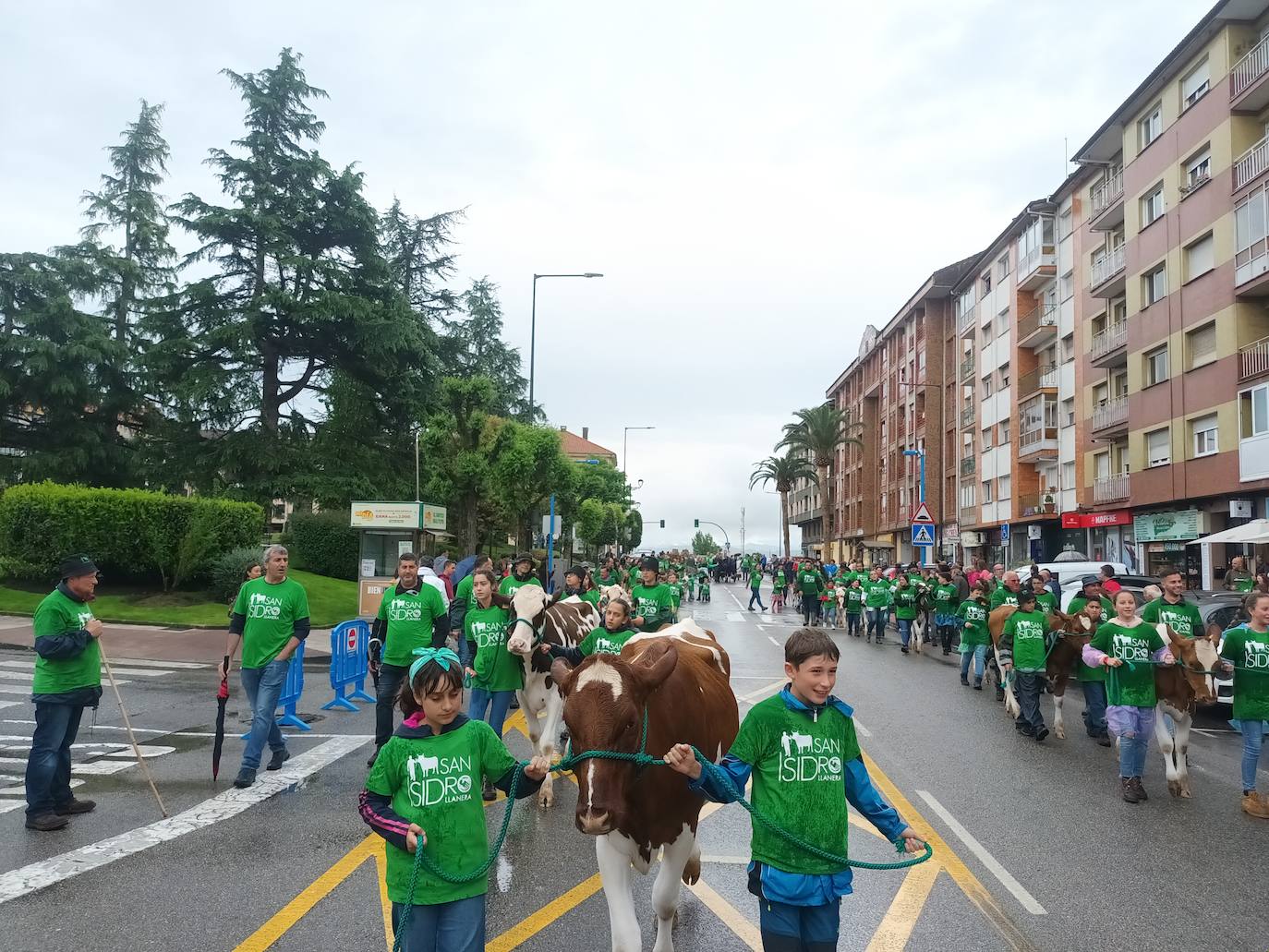 Desfile de carros y ganado en la feria de San Isidro de Llanera