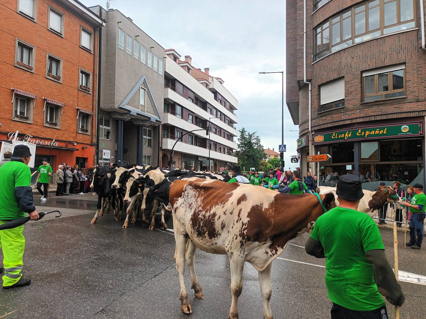 Desfile de carros y ganado en la feria de San Isidro de Llanera