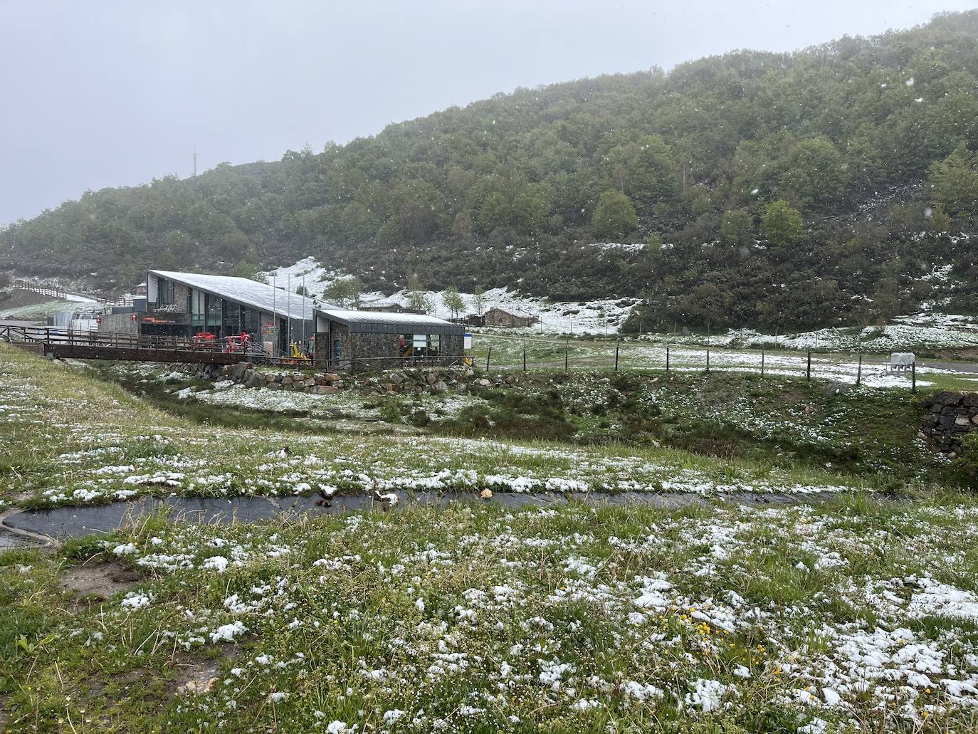 La nieve reaparece en pleno mayo en Asturias