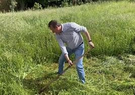 «Tú no sabes segar, Marcelino»