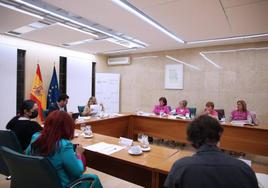 Carmen Diego, segunda por izquierda, con la camiseta del SAD, en la reunión que la plataforma mantuvo con la ministra Yolanda Díaz.