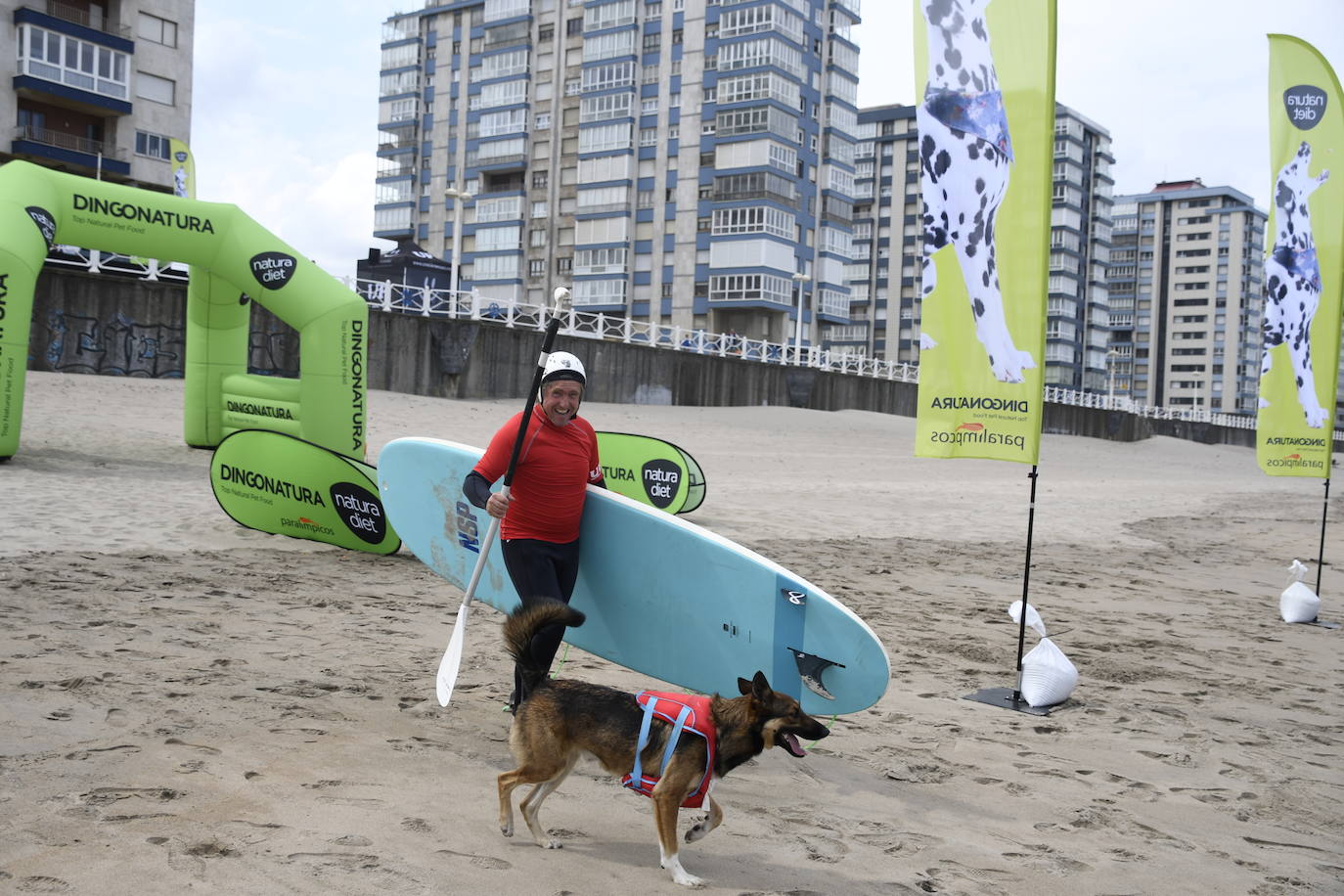 Así ha sido el campeonato europeo de surf para perros en Salinas