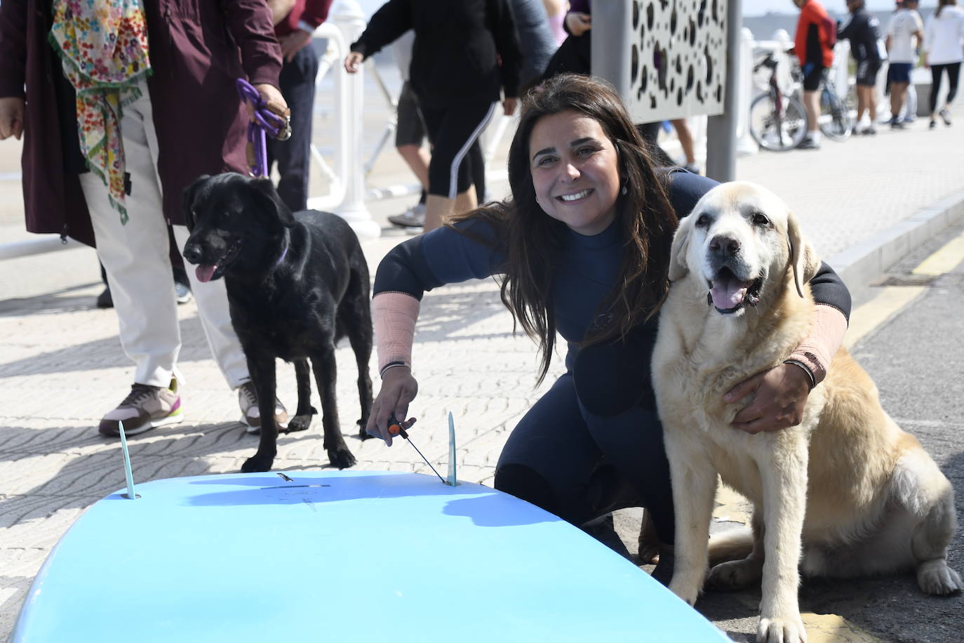 Así ha sido el campeonato europeo de surf para perros en Salinas