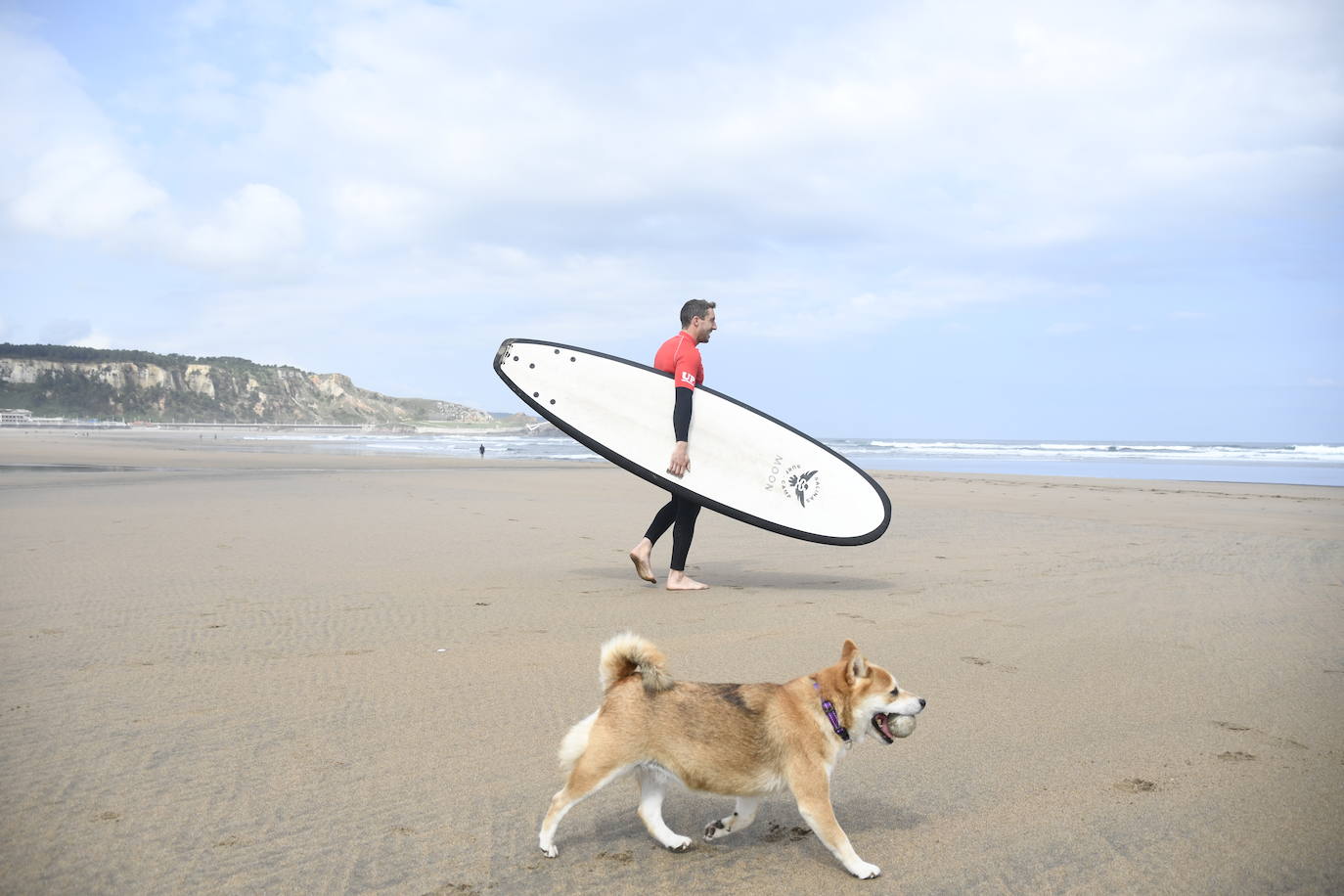 Así ha sido el campeonato europeo de surf para perros en Salinas