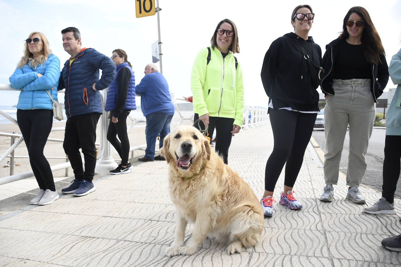 Así ha sido el campeonato europeo de surf para perros en Salinas