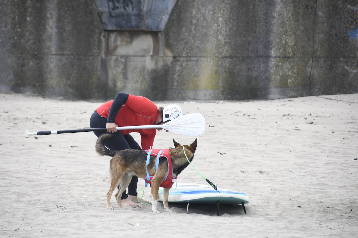 Así ha sido el campeonato europeo de surf para perros en Salinas