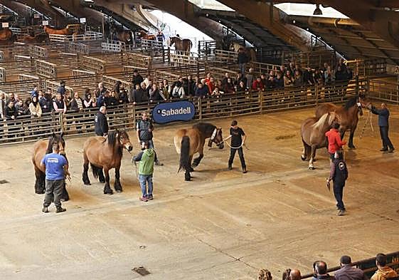El Concurso de Ganado Equino de Siero congregó a numerosos participantes y público.