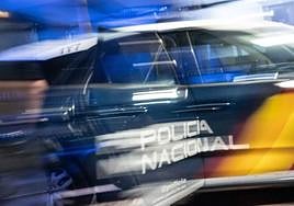Denegada la extradición de un joven detenido en Gijón por un crimen cometido en México