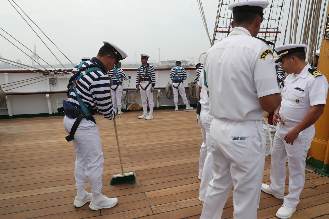 El &#039;caballero de los mares&#039; despliega su esplendor en Gijón