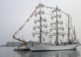 El 'caballero de los mares' despliega su esplendor en Gijón