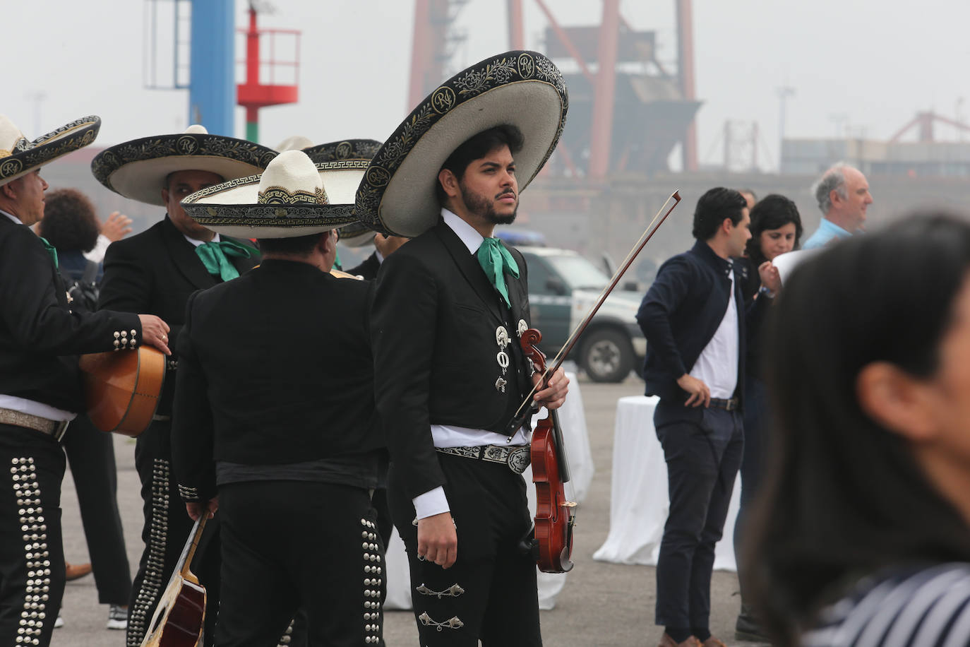 El &#039;caballero de los mares&#039; despliega su esplendor en Gijón