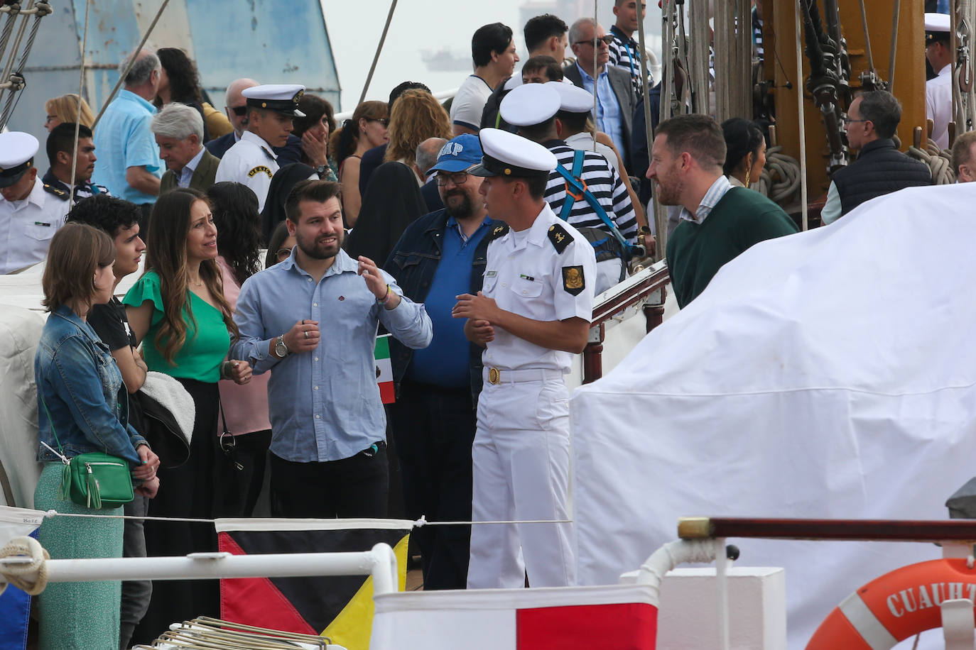 El &#039;caballero de los mares&#039; despliega su esplendor en Gijón